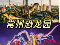 -中华恐龙园