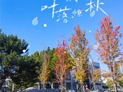 -中关村生命科学园
