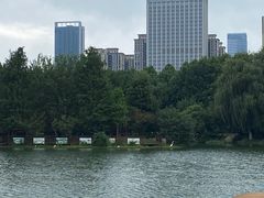 -滨湖塘西河公园
