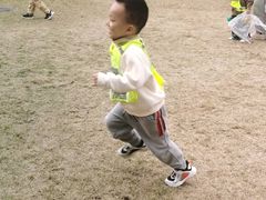 -杭州龙井幼儿园