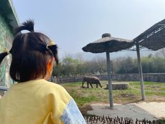 -西安秦岭野生动物园