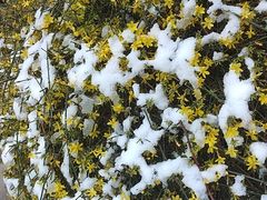 -首都医科大学附属北京天坛医院