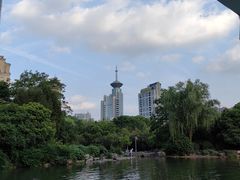 -新虹桥中心花园