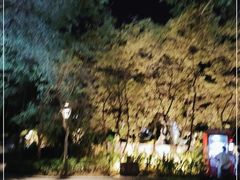 -金鸡山公园