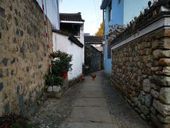 -鹿亭中村