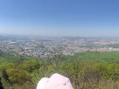 -紫金山山顶公园