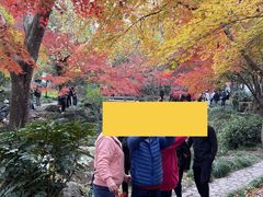 -秋霞圃