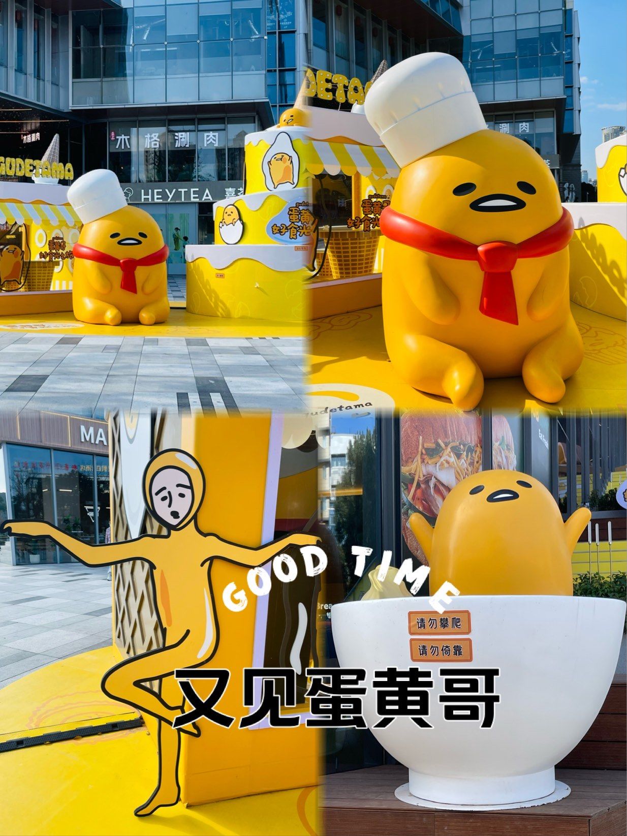 又见蛋黄哥[狗头]