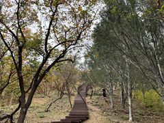 -北京十三陵国家森林公园蟒山景区