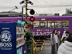 -岚山嵯峨野观光小火车