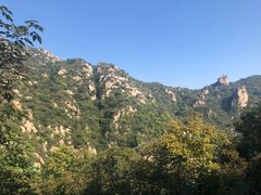 -大岭沟猕猴桃谷风景区