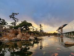 -罗红摄影艺术馆