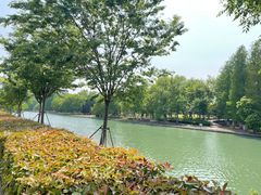 -白塘生态植物园