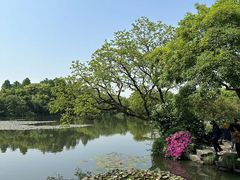 -西湖游船
