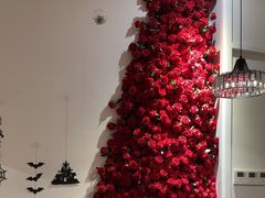 -22ºN BISTRO西餐&酒馆