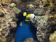 -福州罗源湾海洋世界旅游区