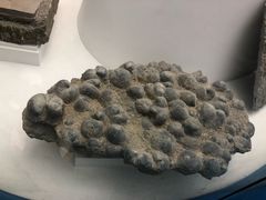 -金钉子远古世界景区