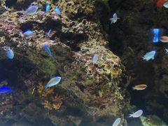 -南昌融创海世界
