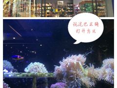 -趣陶陶艺手工坊(新世界百货重庆店)