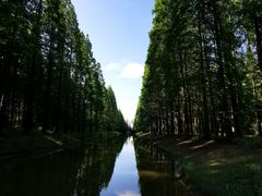 -黄海国家森林公园