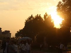 -瑶湖郊野森林公园