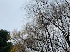 -昆山城市生态森林公园