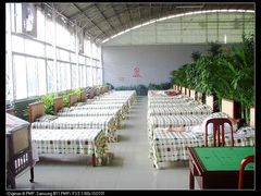 游客中心-北戴河集发农业梦想王国