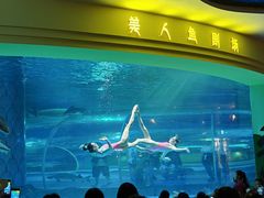 -西双版纳原始森林公园