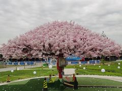 -北京鹿世界主题园