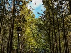 -艾溪湖湿地公园