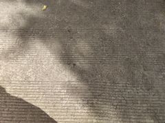 -贵阳市花溪国家城市湿地公园