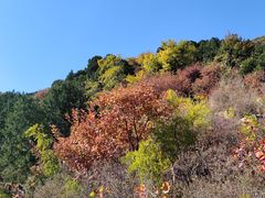 -北京西山国家森林公园