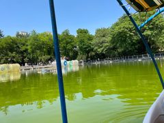 -莲湖公园