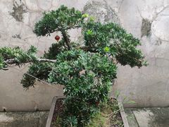 -许驸马府