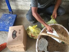 -马陆小张葡萄园农家乐