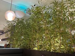 -翡翠拉面小笼包(岭南新天地店)
