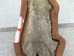 -安阳博物馆