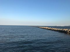 -东疆建设开发纪念公园