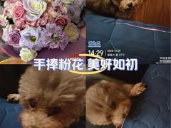 -广州克莱顿酒店