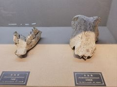 -重庆中国三峡博物馆(重庆博物馆)