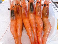 甜虾-上渔铁板烧(熙悦汇店)