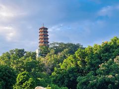 -红花山公园