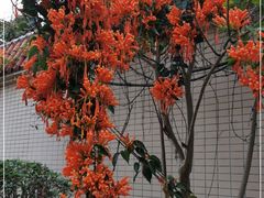 -云溪植物园
