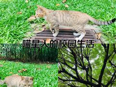 -东风公园