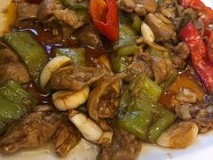 -金蝉食府(维吉奥广场店)