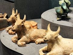 -广西壮族自治区博物馆