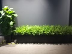 -新影联·华谊兄弟影院(望京店)