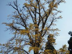 -金堂县云顶石城风景区