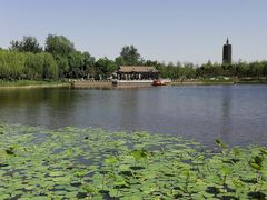 -西海子公园