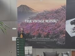 -大视光学•LINDBERG林德伯格•全球手工眼镜集合店(王府井店)